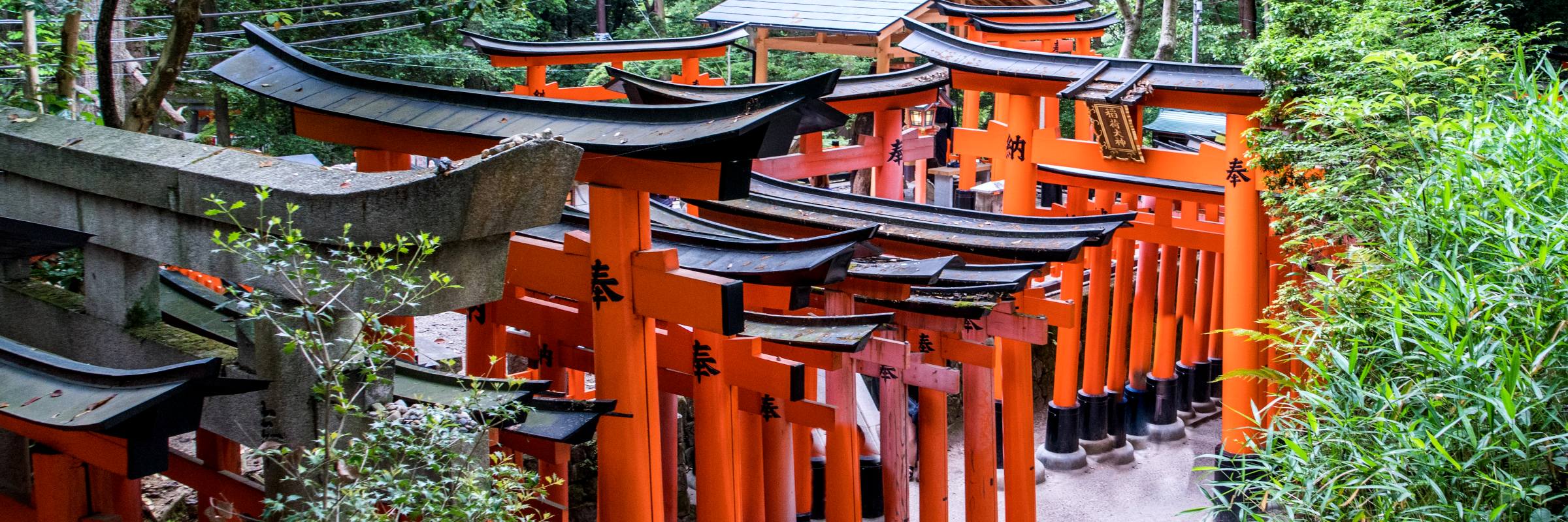 Die roten Schreintore im Fushimi Inari Schrein