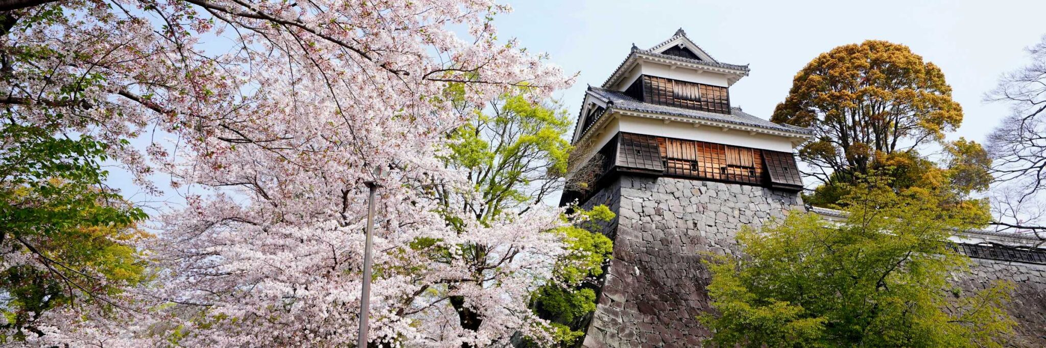Burg Kumamoto aus der Edo-Zeit zählt neben Burg Matsumoto und Burg Himeji zu den „Nihon sanmeijō“, den „drei bedeutsamen Burgen Japans“.