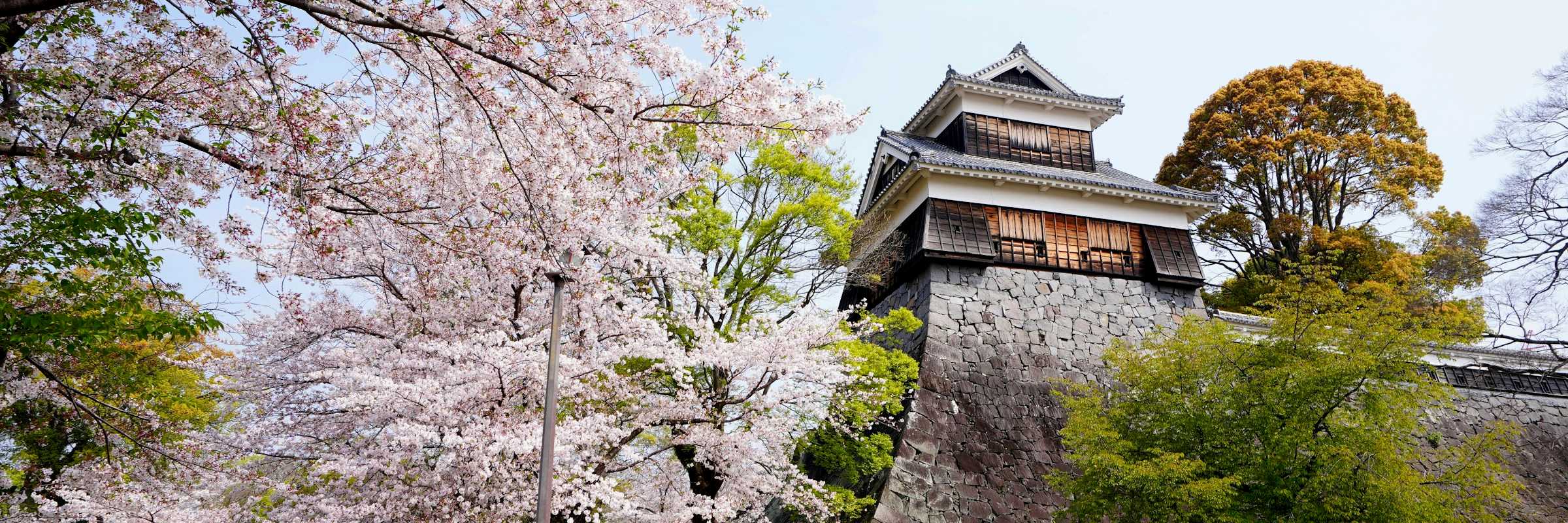 Turm der Burg Kumamoto in der gleichnamigen Stadt Burg Kumamoto aus der Edo-Zeit zählt neben Burg Matsumoto und Burg Himeji zu den „Nihon sanmeijō“, den „drei bedeutsamen Burgen Japans“.