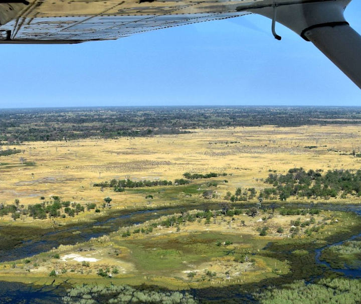 Das in Botswana gelegene Okavangodelta ist mit einer Fläche von über 20.000 km2 eines der größten und tierreichsten Feuchtgebiete Afrikas.
