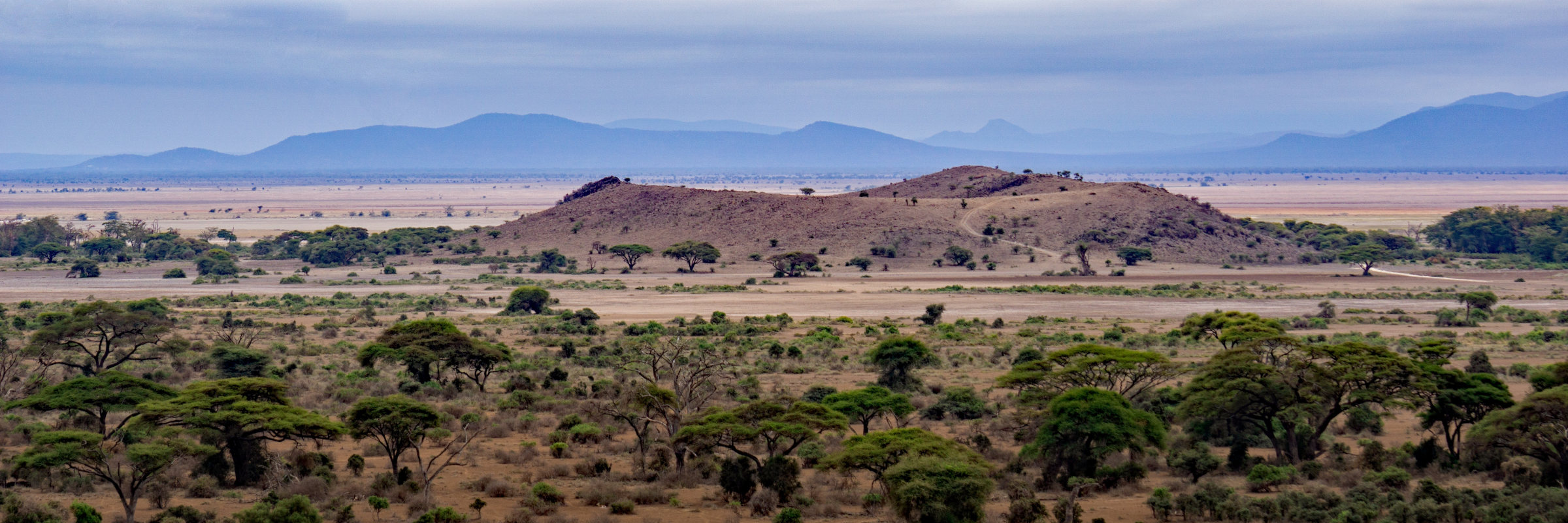 Tansanische Savanne mit Hügeln Tansanische Savanne mit sanften Hügeln und beeindruckenden Bergketten.