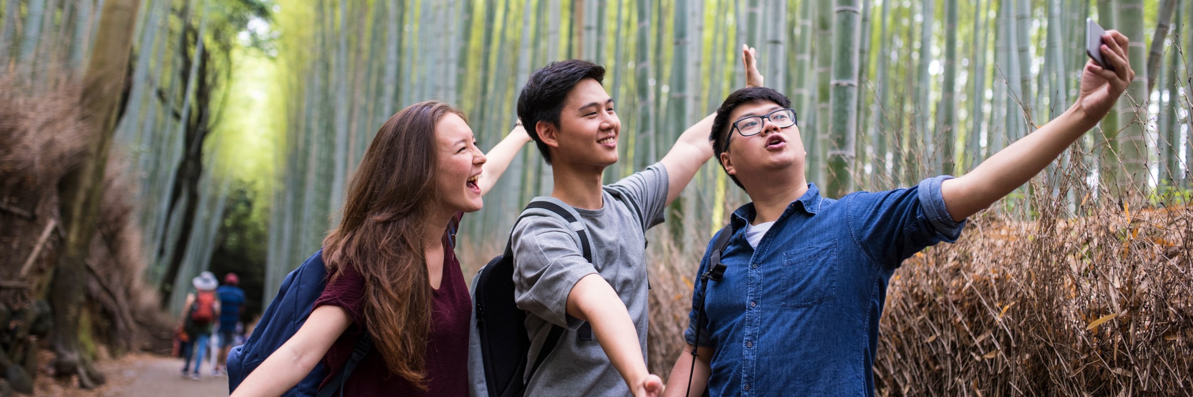 Der Stadtteil Arashiyama nordwestlichen Teil von Kyoto ist weltberühmt für seinen Bambuswald, der jährlich viele Besucher anzieht.
