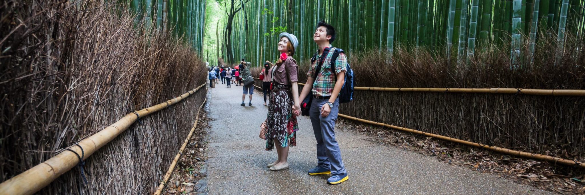 Der Stadtteil Arashiyama ist im westlichen Teil von Kyoto gelegen und bekannt für seinen dichten Bambuswald.