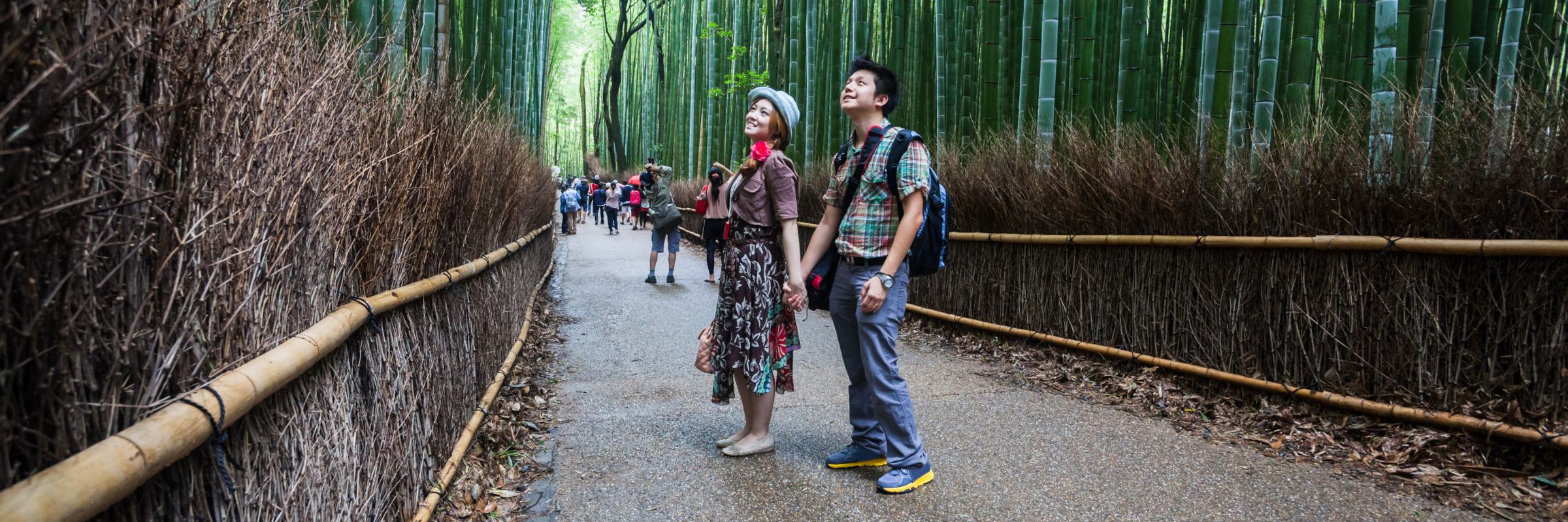 Der Stadtteil Arashiyama ist im westlichen Teil von Kyoto gelegen und bekannt für seinen dichten Bambuswald.