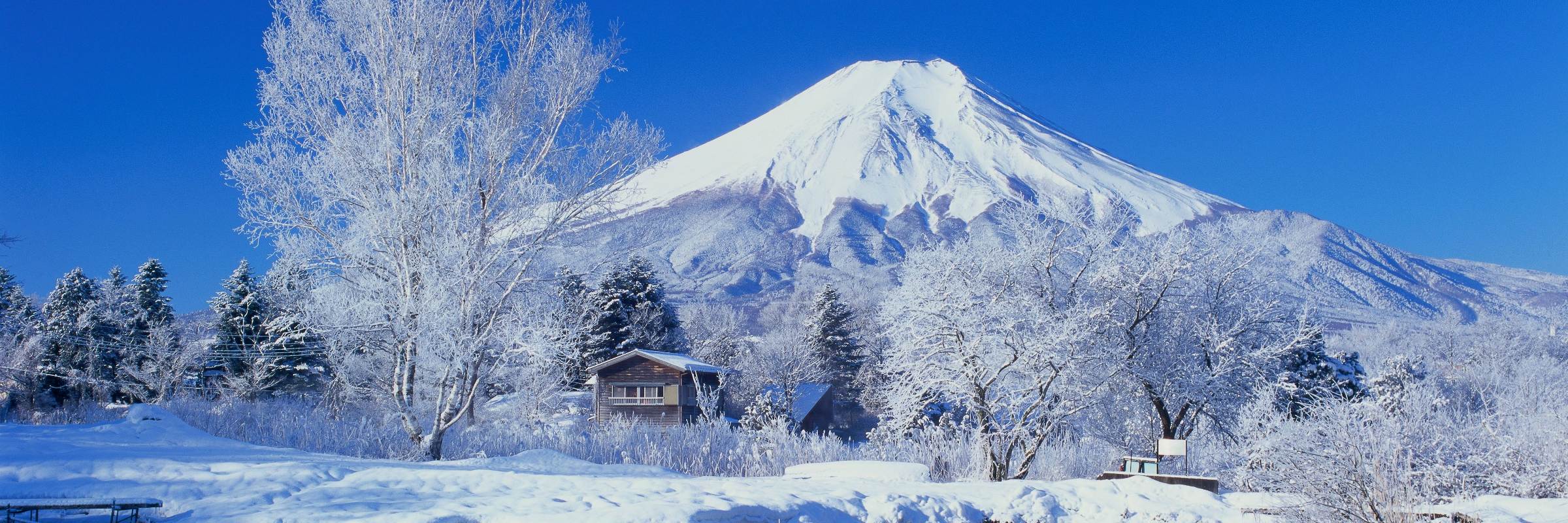 Blick auf den Fuji-san im Fuji-Hakone-Izu-Nationalpark, Honshu, Japan