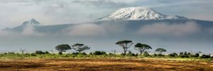 Der Amboseli-Nationalpark in Kenia, nahe der Grenze zu Tansania ist berühmt für seine Aussicht auf den Kilimandscharo, Afrikas höchsten freistehenden Berg.
