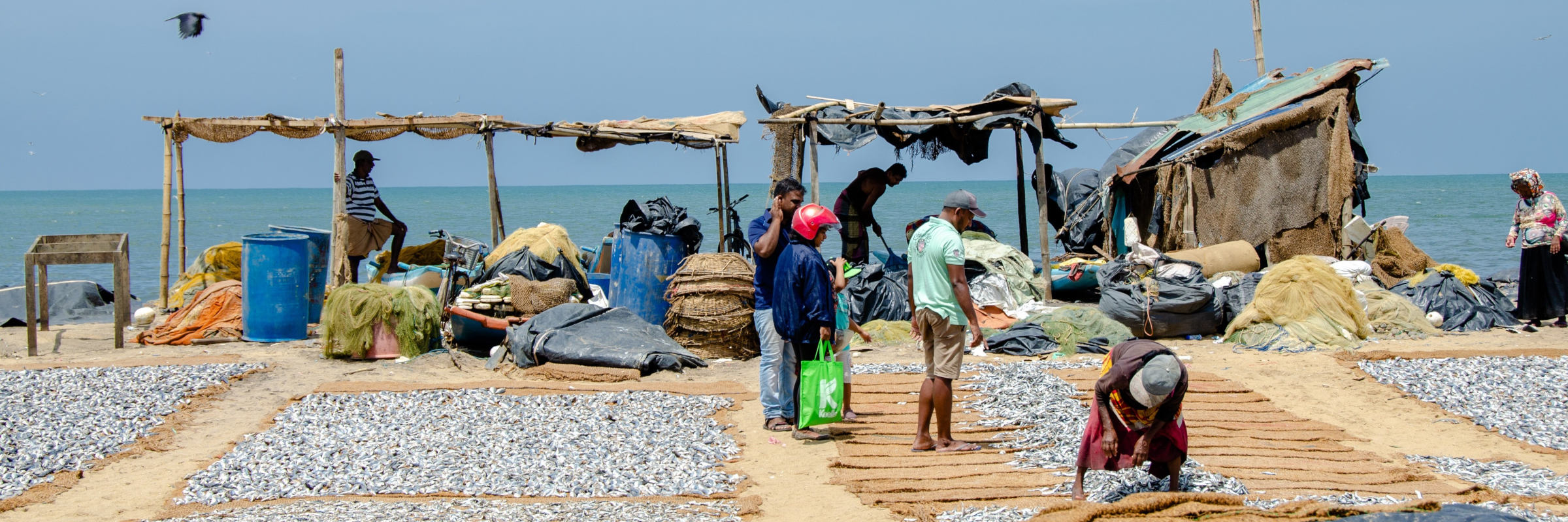 Fischmarkt am Strand von Negombo