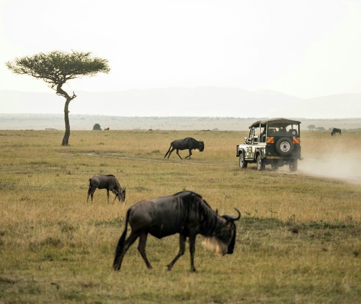 Das Masai Mara National Reserve in Kenia ist ein Gebiet ursprünglicher Savanne und geprägt grasbewachsenen Ebenen und Flüssen.
