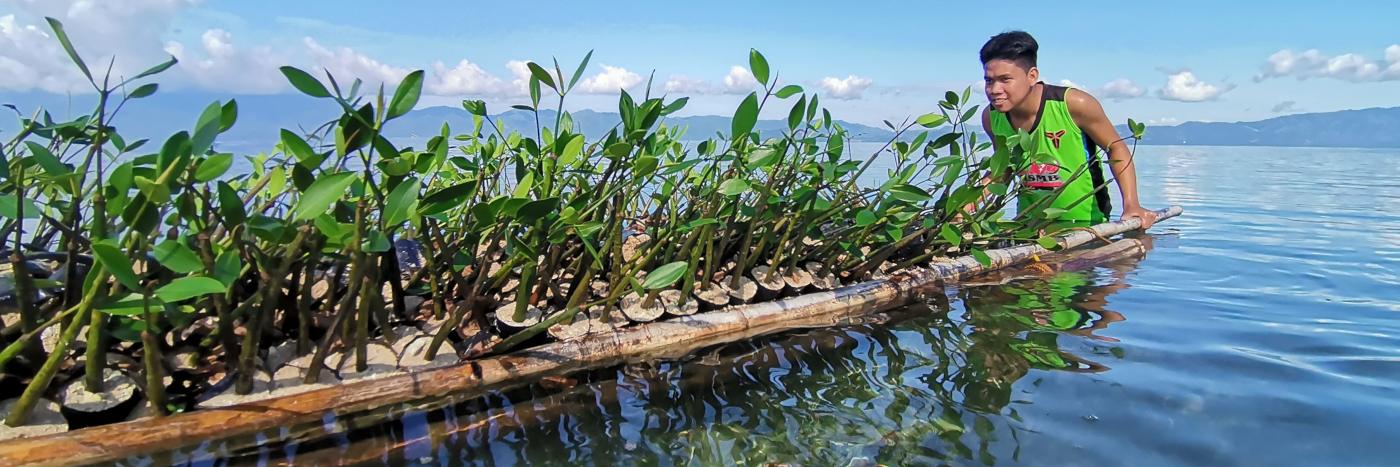 Mitarbeiter von Click A Tree transportiert Mangroven-Setzlinge