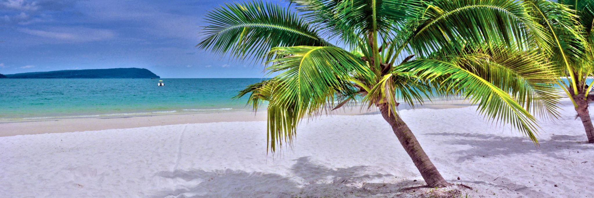 Kokospalme am Strand auf der Insel Koh Rong in Kambodscha
