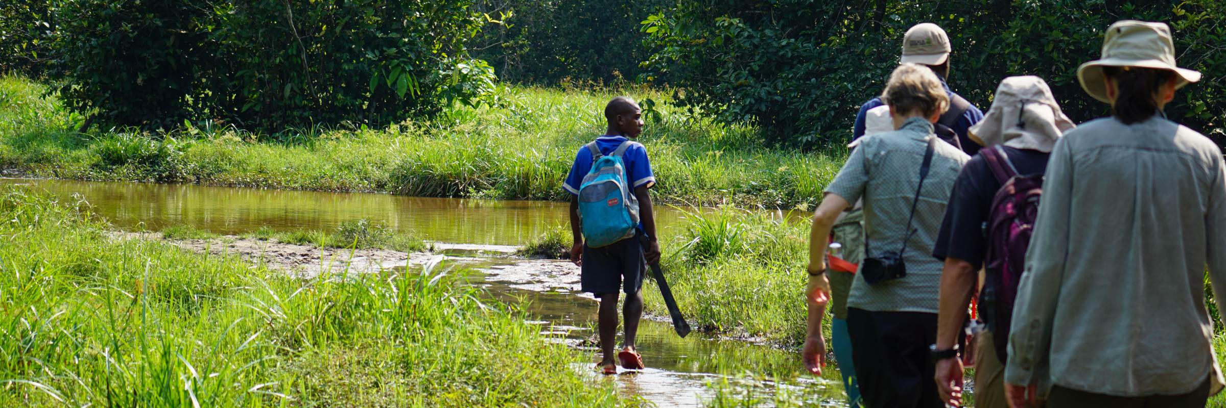 Wanderung durch den Regenwald in der Republik Kongo