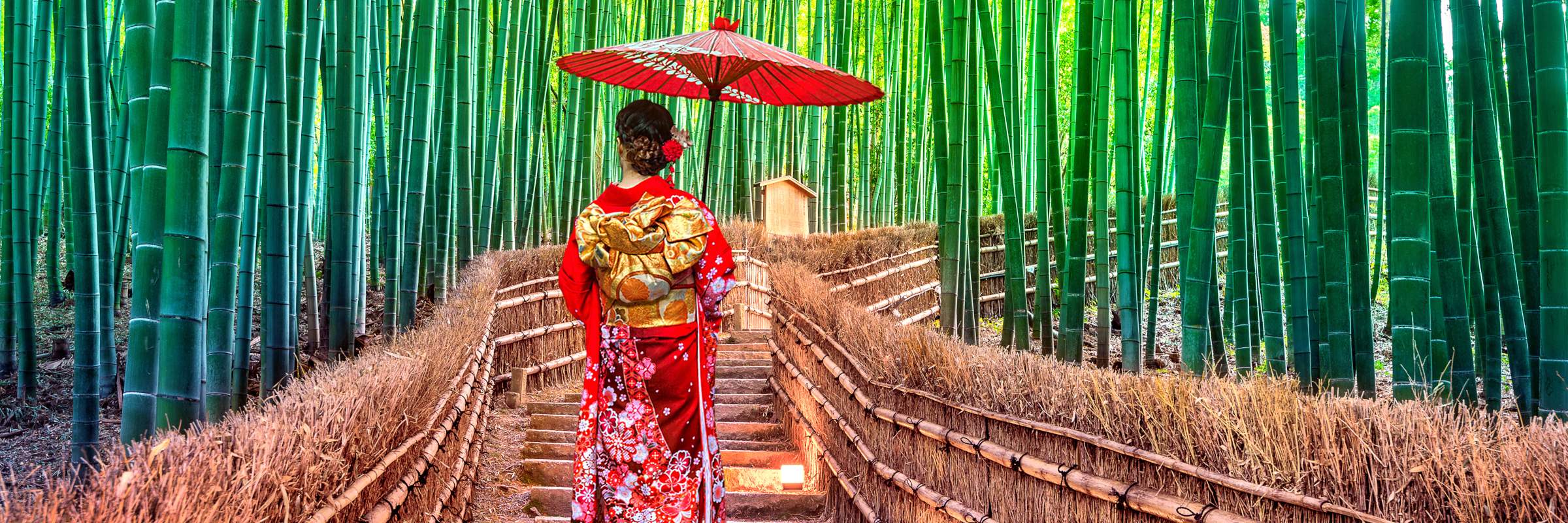 Traditionell gekleidete Frau im Bambuswald in Kyoto