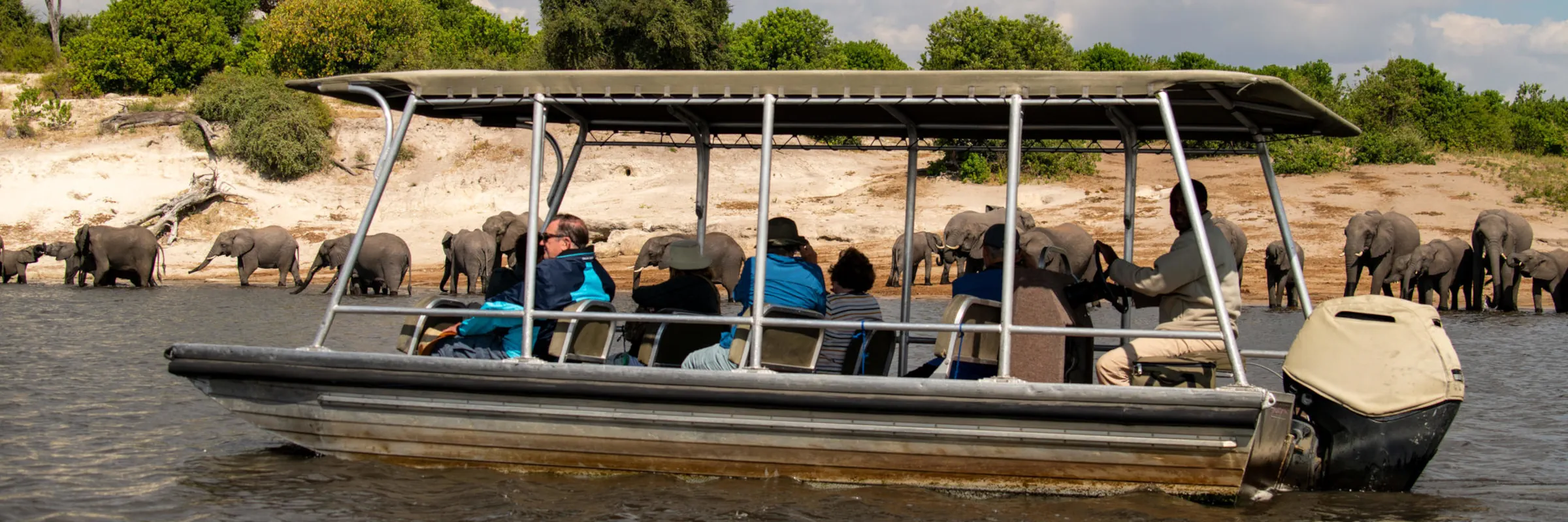 Gäste einer Chobe River Flusskreuzfahrt beobachten eine Elefantenherde aus nächster Nähe vom Beiboot aus am Flussufer.