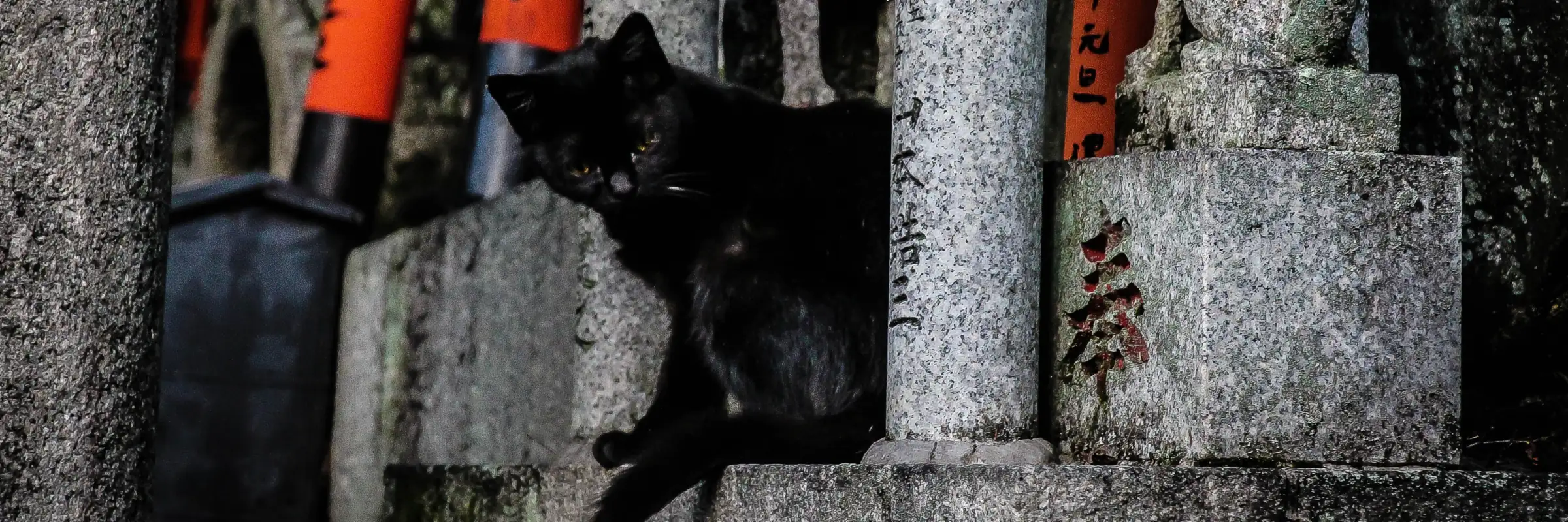 Katze vor traditionellen Steinfiguren im berühmten Fushimi Inari-Schrein im japanischen Kyoto