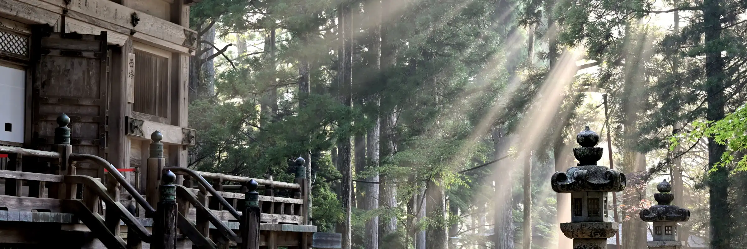 Die spirituelle Umgebung des Koyasan Tempels in Wakayama, ein Höhepunkt unserer Japan Gruppenreise Kleingruppe.