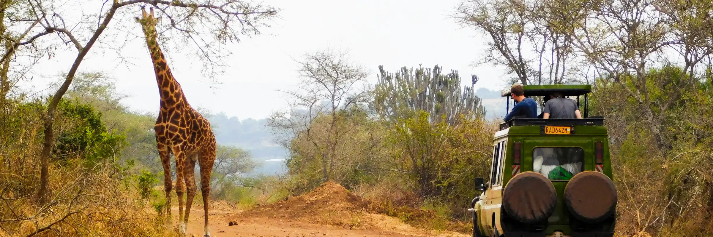 Safari-Tour im Akagera-Nationalpark in Ruanda