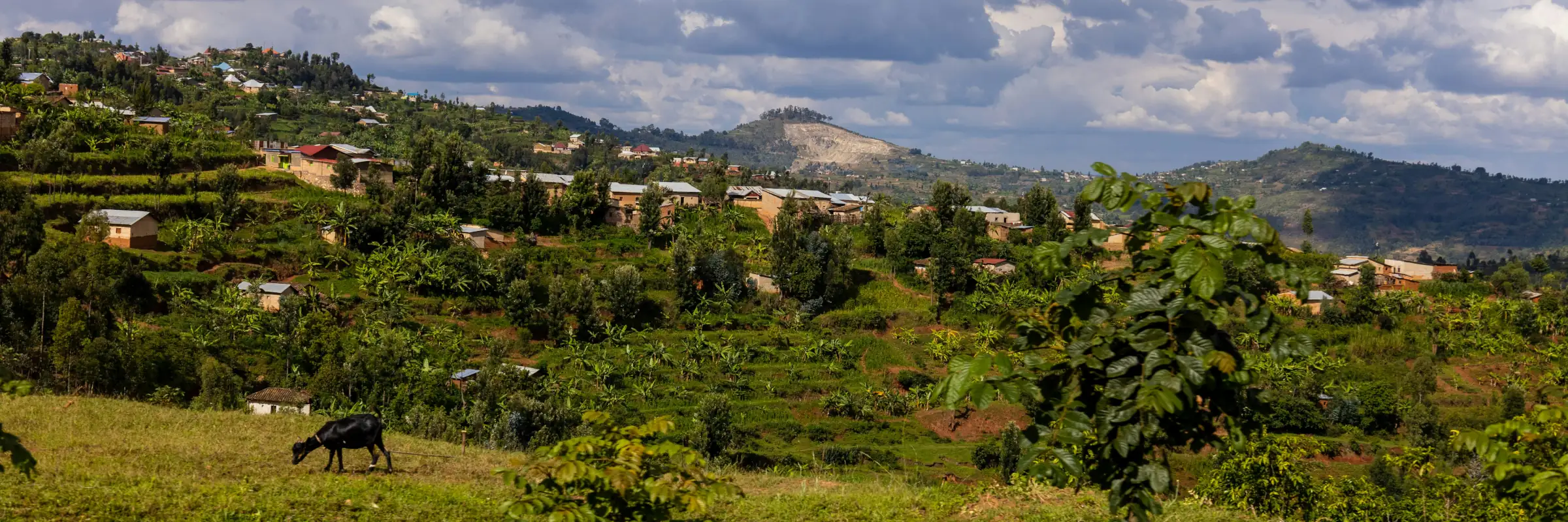 Terrassenbau im Gebiet um Nyamagabe im Südwesten von Ruanda