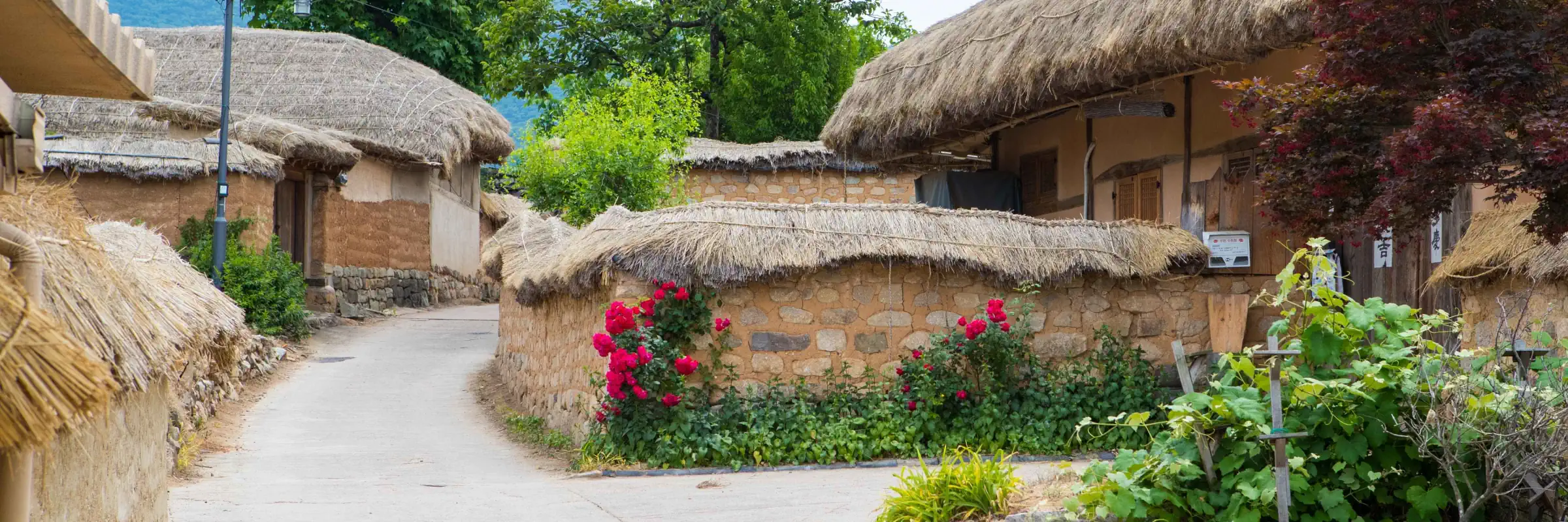 Andong Hahoe Folk Village in der Provinz Gyeongsangbuk-do
