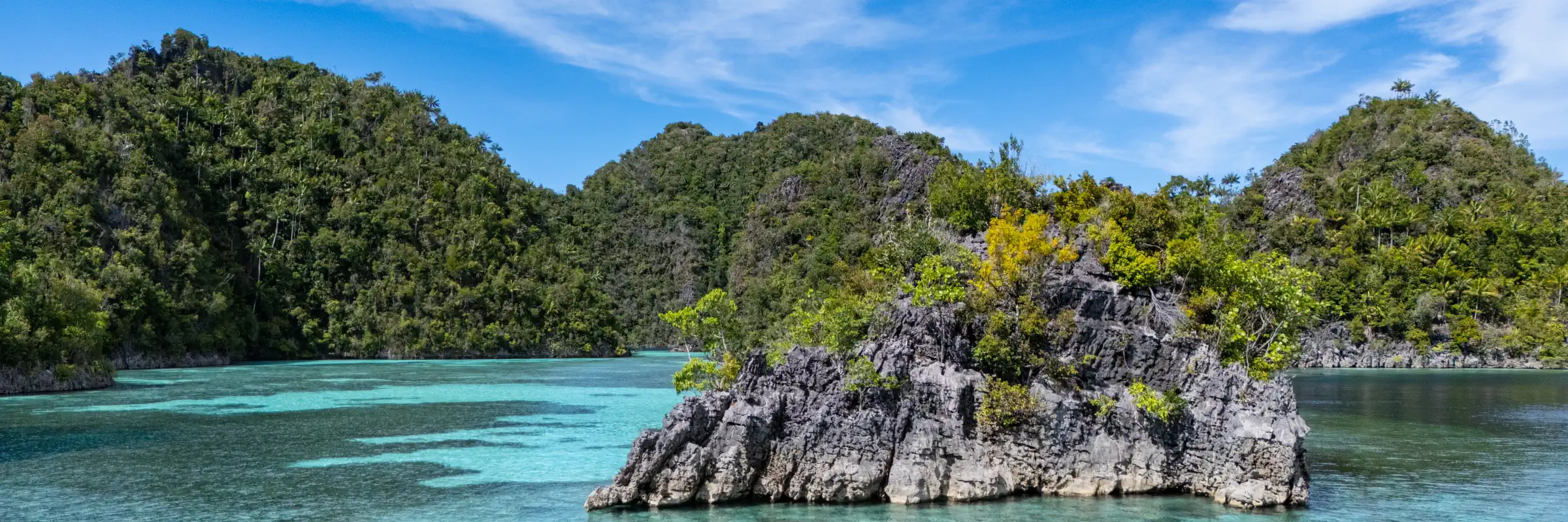 Grüne Kalksteinfelsen und die ikonischen Pilzfels-Inseln in einer türkisfarbenen Meereslagune in Raja Ampat.