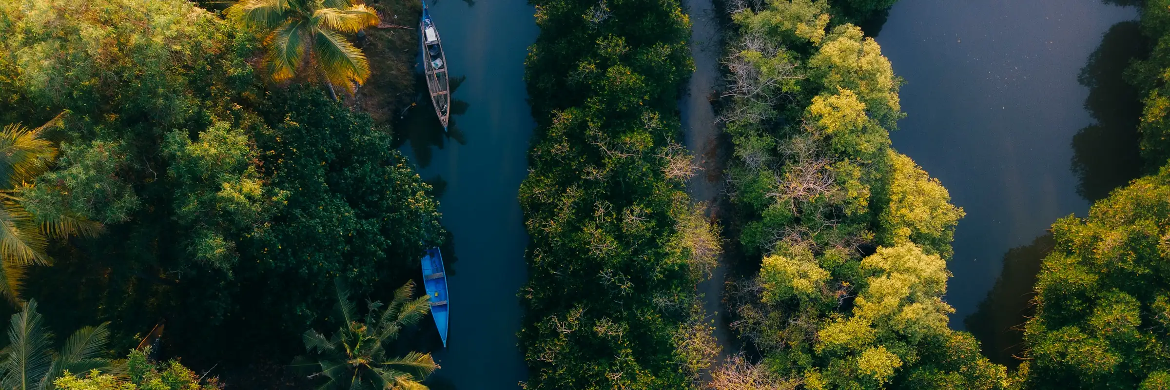 Luftaufnahme der Backwaters von Kerala im Süden Indiens