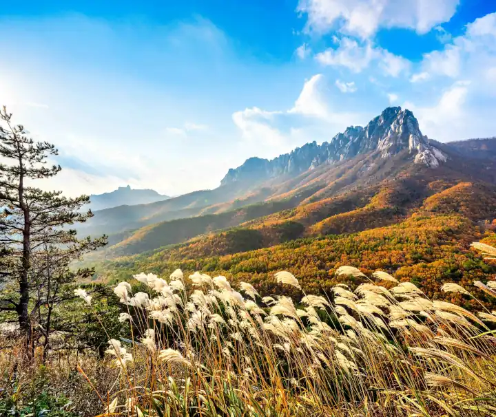 Der Ulsanbawi-Felsen im weltberühmten Seoraksan-Nationalpark in Korea