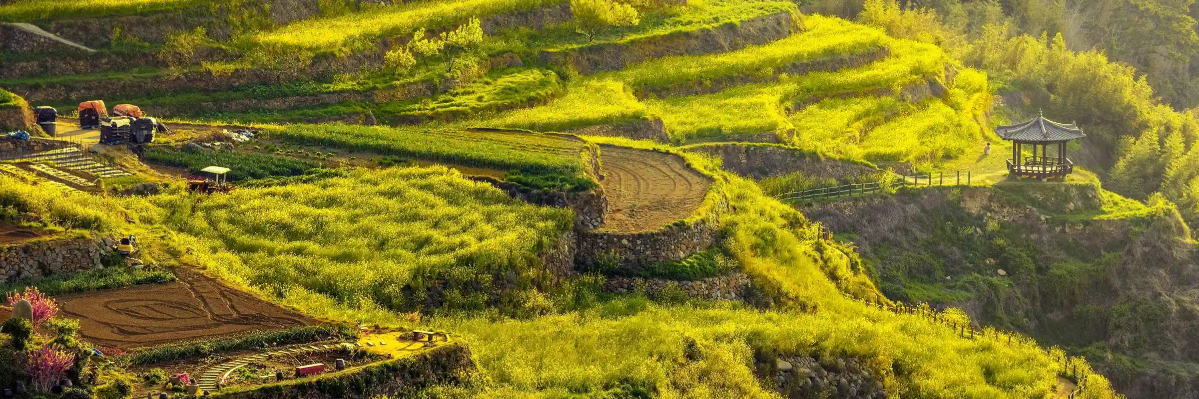 Reisterrassen der Gachon Daraengi Village im koreanischen Landkreis Namhae-gun