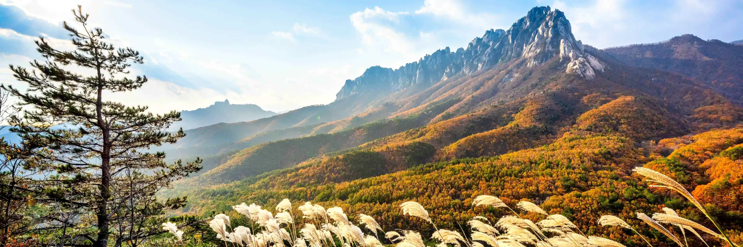 Der Ulsanbawi-Felsen im weltberühmten Seoraksan-Nationalpark in Korea