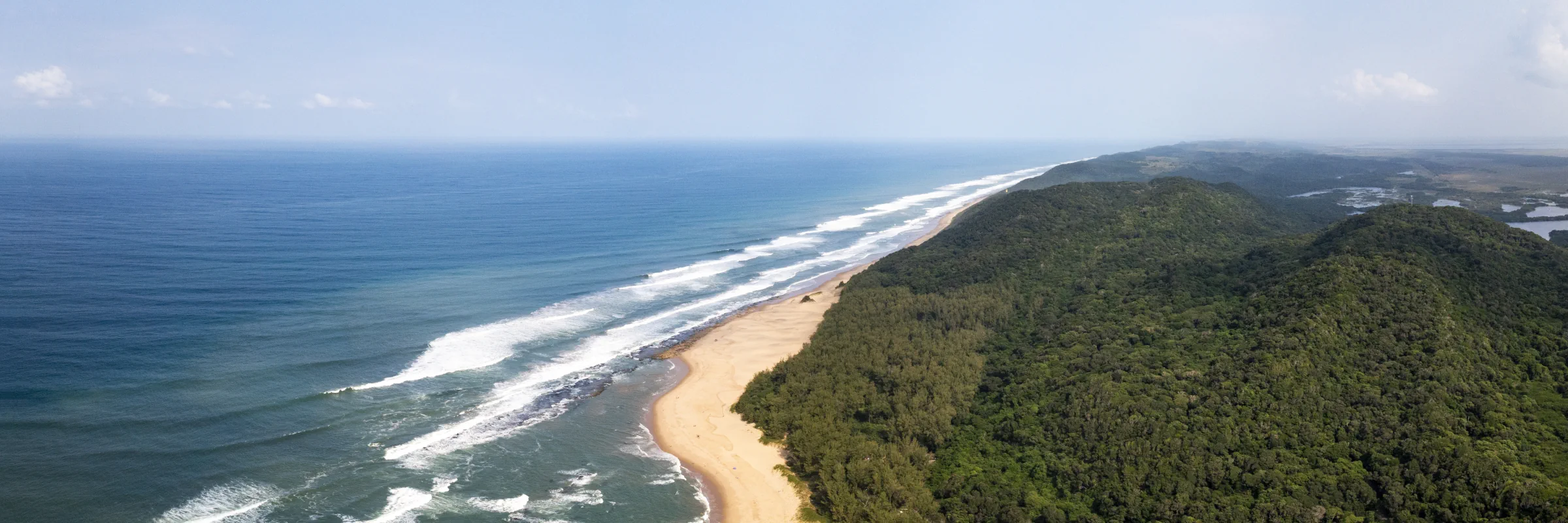 Eine Luftaufnahme einer unberührten, geschwungenen Küstenlinie mit einem langen Sandstrand, einem dichten Waldgebiet dahinter und an Land brechenden Wellen.