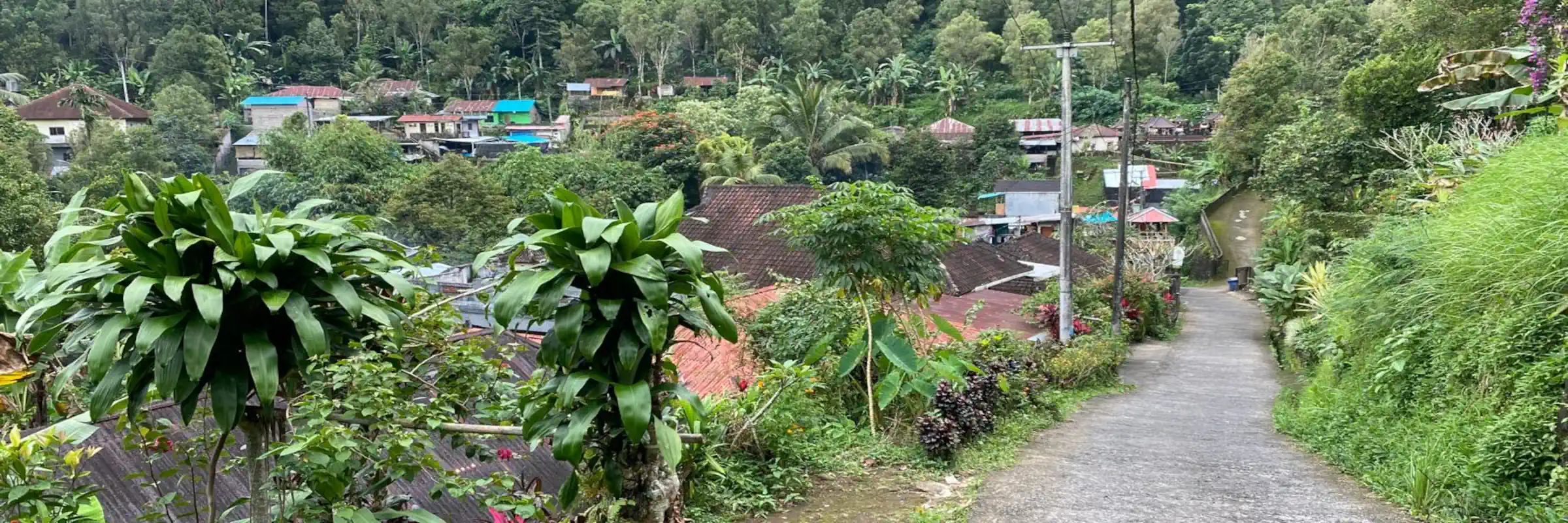 Kurvenreiche Straße durch ein Dorf im bergigen Inselinneren von Bali