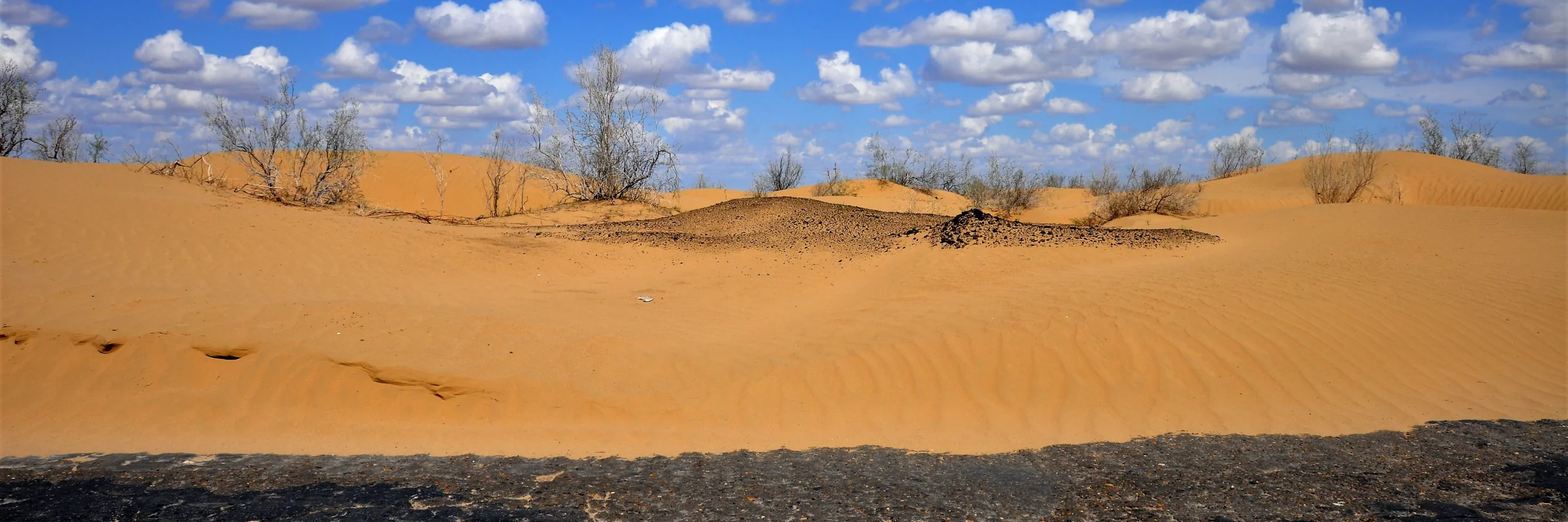 Dünenlandschaft der Kyzylkum-Wüste in Usbekistan