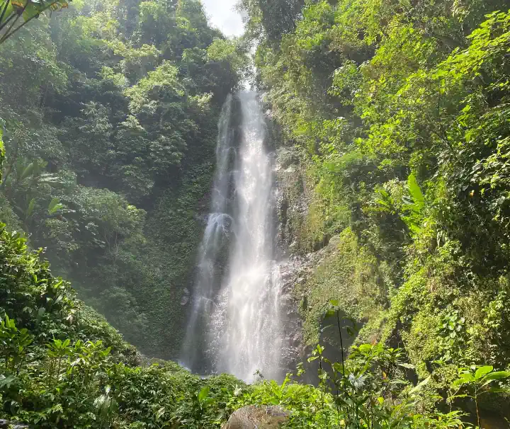 Wasserfall im tropischen Regenwald auf Bali