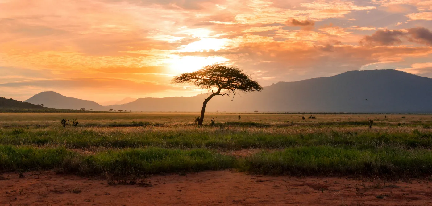 Savannenlandschaft des Tsavo Ost Nationalpark in Kenia