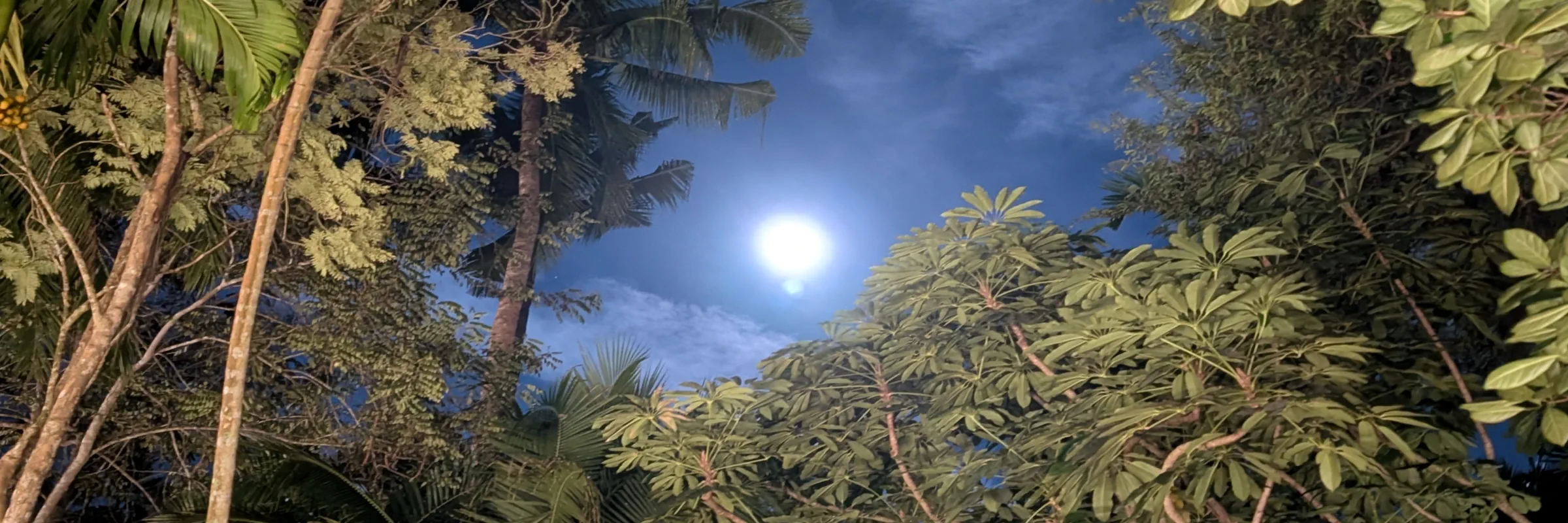 Der tropische Vollmond leuchtet durch die Baumkronen über den Bungalows des River Kwai Resotel