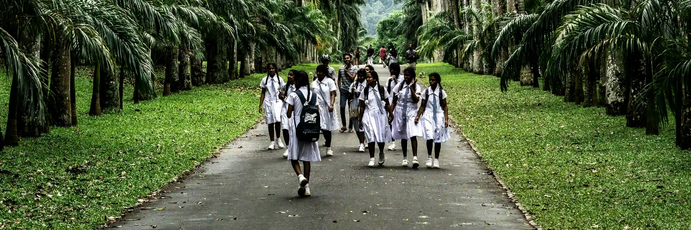 Eine Gruppe von sri-lankischen Schülerinnen in weißen Schuluniformen geht über einen asphaltierten Weg durch eine weite, von hohen Palmen gesäumte Parkanlage.