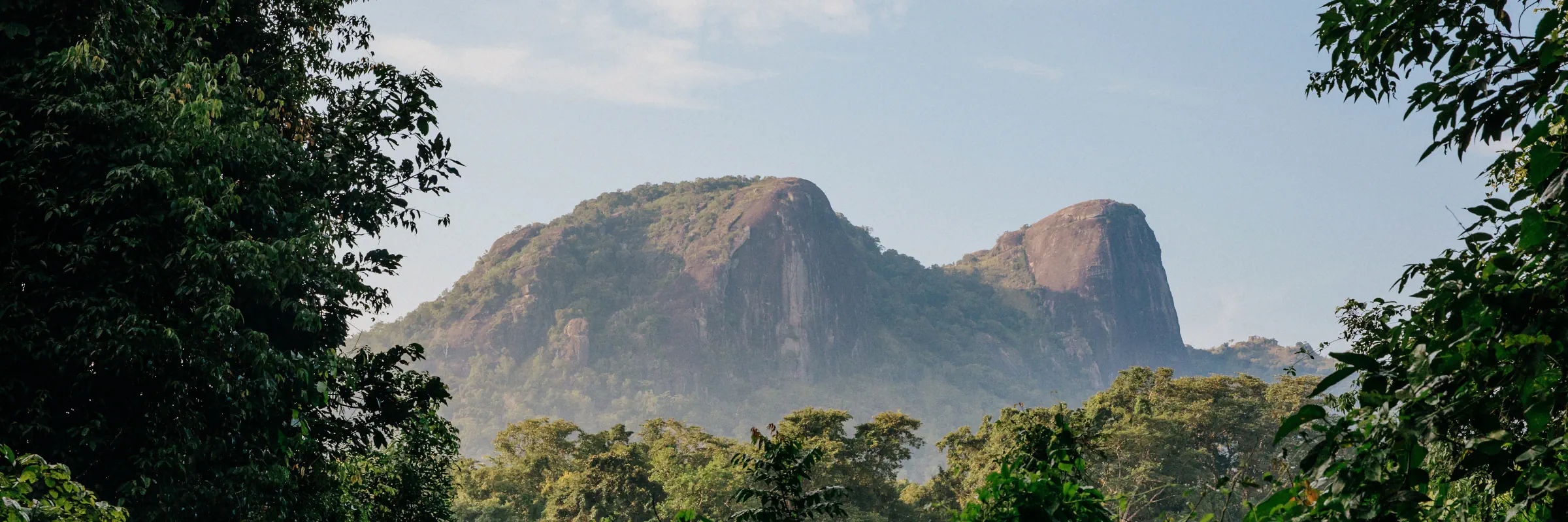 Blick durch ein üppiges grünes Blätterdach auf mächtige, steile Felsformationen vor blassblauem Himmel im Gal Oya Nationalpark in Sri Lanka.